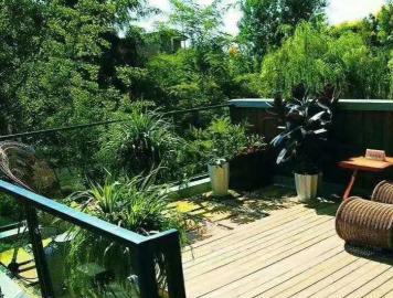 绿植租摆养护 批发零售、景观绿化设计 施工 养护、防腐木