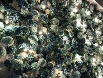 仿真植物墙 花墙、鲜花墙、软装、橱窗、花艺门头定