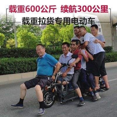 啊快捷外卖电动车全新配套可自骑带人载货