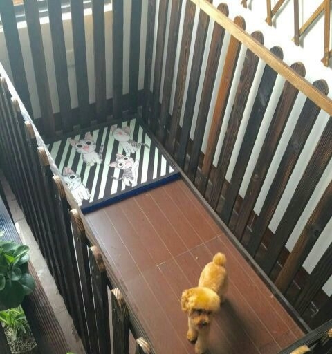 主人手机24小时监控岛内外免费接送