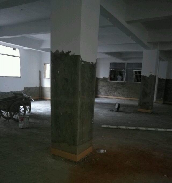 灌口 红绿灯旁 中仑社160号，1300平